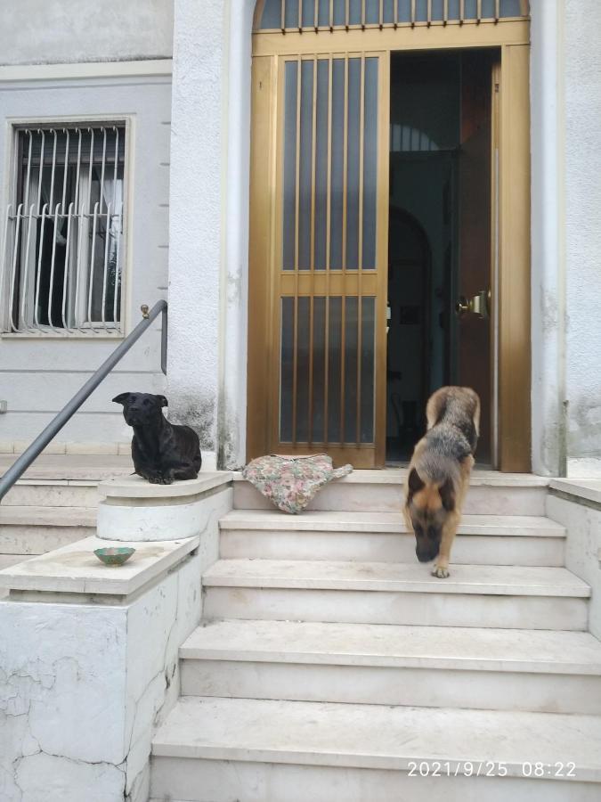Chez Martha Bed & Breakfast Verona Exterior foto